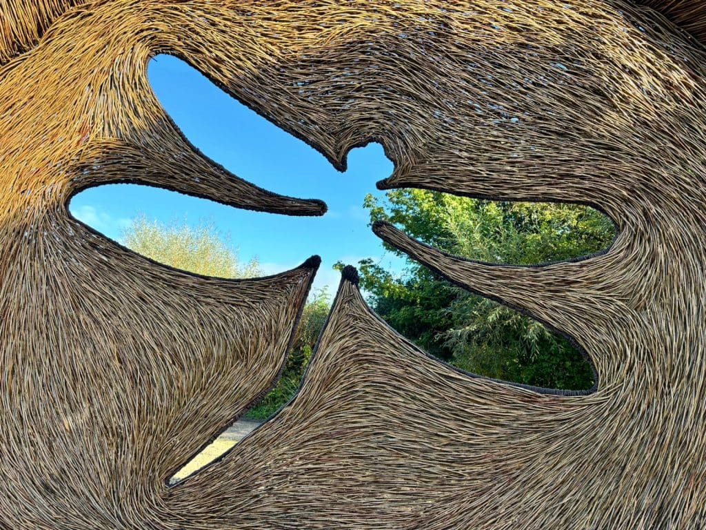 View through a sculptural structure made of intertwined branches, forming abstract shapes that open up to a clear blue sky and green foliage in the background.